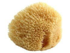 Poupy Přírodní mořská houba POUPY