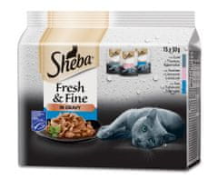 Sheba Fresh & Fine kapsičky rybí výběr ve šťávě pro dospělé kočky 5x(15x50 g)