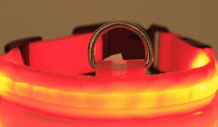 Palkar svítící obojek z popruhu pro psy 40-54 cm x 25 mm červená