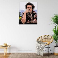 Malujsi Malování podle čísel - Harry Styles 04 - 80x100 cm, plátno vypnuté na rám