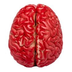 Northix Umělý mozek 