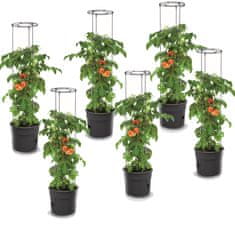 botle 6 x Květináč na pěstování rajčat Průměr 39,2 cm Hrnec s Podpěrou a Vložkou