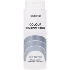 Montibello Color Resurrection Ice Silver barvicí kondicionér pro blond vlasy pro dočasný efekt, zabraňuje rychlému vymývání barvy, 150ml