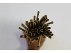 Say straw Brčko z trávy (Lepironia articulate) - 2 500 ks Délka brčka: 22cm