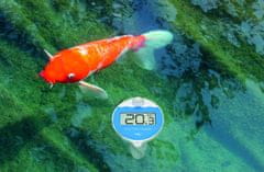 30.3066.01 | Bezdrátový bazénový teploměr MARBELLA s plovoucím čidlem na měření teploty vody | dosah až 100 m