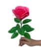 Mýdlový květ růže Tmavě Růžová na stonku s lístky