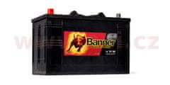 Banner 110Ah baterie 800A, levá BANNER Buffalo Bull 344x172x214(230) 61048