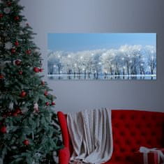 Zimní krajina - LED obraz 70x30