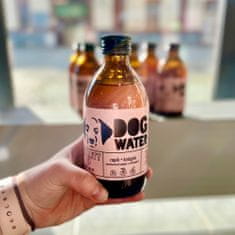 Dog & Water Sirup Vitality Up Klouby, imunita 300 ml