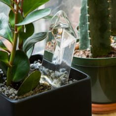 Voda z krystalu - samozavlažování rostlin