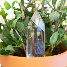 Voda z krystalu - samozavlažování rostlin