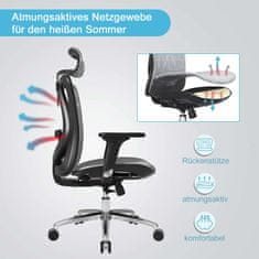 MCW Kancelářská židle SIHOO, ergonomická, nastavitelná područka, nosnost 150 kg ~ šedý potah, černý rám