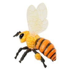 Insect Lore Životní cyklus - Včela