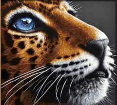 TADEKMARK Malování na plátno podle čísel plátno s rámem 40x50 tiger