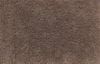 AKCE: 150x170 cm Metrážový koberec Kashmira Wild 6947 (Rozměr metrážního produktu Bez obšití)