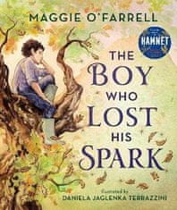 Walker Books The Boy Who Lost His Spark