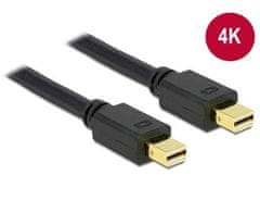 Delock DisplayPort kabel Mini DisplayPort, 1m - černý