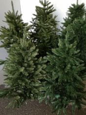 Alpina Vánoční stromek DIVOKÝ SMRK, výška 150 cm