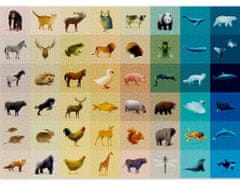 CLOUDBERRIES Puzzle Fauna 1000 dílků