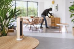 Netatmo Smart Indoor Camera, zlato/bílá (NSC01-EU)