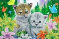 Picmondoo Diamantové malování - kočky