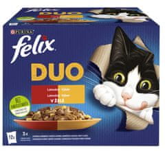 Felix FANTASTIC Duo multipack lahodný výběr v želé 72x85 g