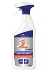 Procter & Gamble Mr Proper, Professional Multi 4v1, čistič povrchů, 750 ml