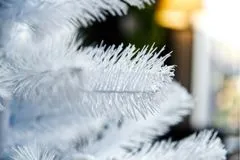 Alpina Vánoční stromek JEDLE BÍLÁ, výška 120 cm