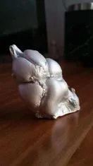 3D odlitek psí tlapky