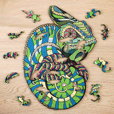 EWA ECO-WOOD-ART Chameleon | dřevěné puzzle v dárkovém dřevěném boxu
