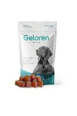 Geloren Kloubní výživa pro velké psy – Geloren DOG L-XL (60 ks)
