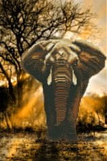 Picmondoo Diamantové malování - africký slon