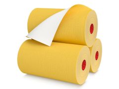 Renova Papírové kuchyňské utěrky žluté 2-vrstvé, 1 role