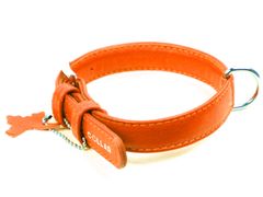 Collar Obojek kožený Glamour Classic - oranžový (46-60cm/35mm)