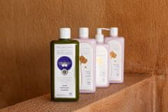 IVA NATURA Organický kopřivový šampon na ochranu barvy, 350 ml