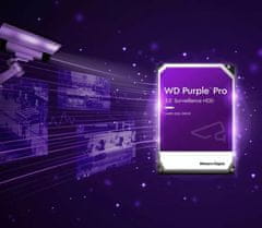 Western Digital WD Purple Pro (PURP), 3,5" - 10TB (WD101PURP)