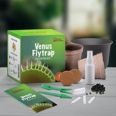 Grow Buddha DIY SET - VENUŠINA MUCHOLAPKA