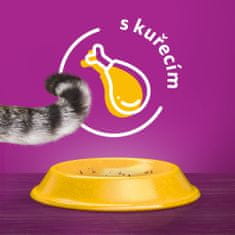 Whiskas granule kuřecí pro kastrované dospělé kočky 14kg