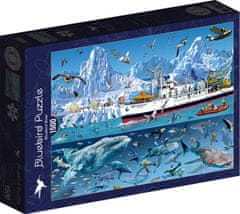 Blue Bird Puzzle Arktida: Loď Bluebird 1500 dílků