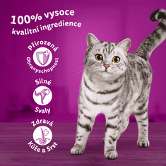 Whiskas kapsičky klasický výběr ve šťávě pro dospělé kočky 48x 85g