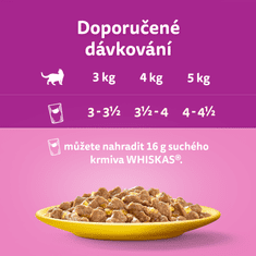 Whiskas kapsičky drůbeží výběr v želé pro dospělé kočky 48x 85g