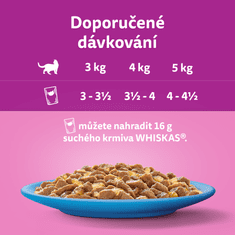 Whiskas kapsičky oblíbené rybí pokrmy v želé pro dospělé kočky 48x 85g