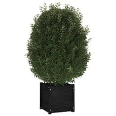 Petromila Zahradní truhlíky 2 ks černé 40 x 40 x 40 cm masivní borovice