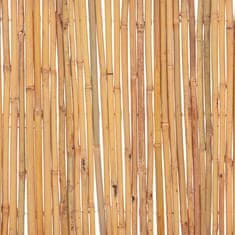 Greatstore Bambusový plot 500 x 50 cm