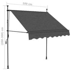 Petromila Ručně zatahovací markýza s LED světlem 100 cm antracitová