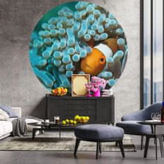 Vidaxl WallArt Kulatá nástěnná malba Nemo the Anemonefish, 190 cm