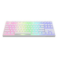 Dark Project Klávesnice KD87A White, Pudding, G3MS Sapphire Switch, US