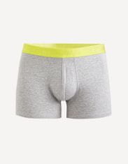 Celio Boxerky Dinorfluo M