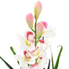 Petromila Umělá rostlina orchidej člunatec s květináčem 100 cm