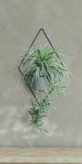 Prosperplast Nástěnný nástěnný stojan na rostliny s efektním závěsem-Rhombus 30 cm